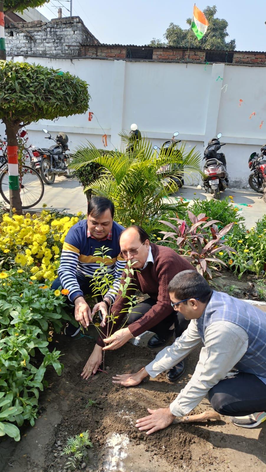 पौधा रोपण कार्यक्रम